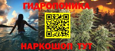 PSILOCYBIN Долгопрудный