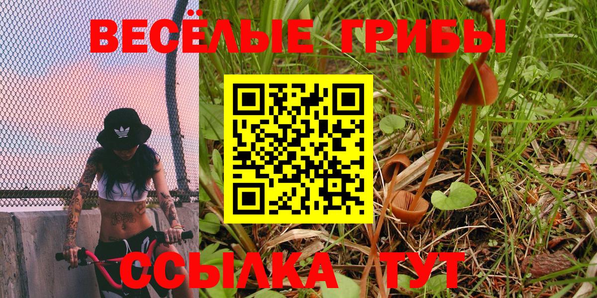 Дивногорск  наркотики  Вход с VPN  Галлюциногенные грибы Cubensis 
