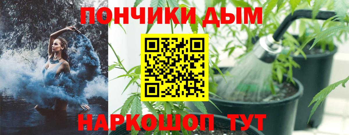 Шишки марихуана Bruce Banner  Шишки марихуана сатива  Вход с VPN  Дивногорск 